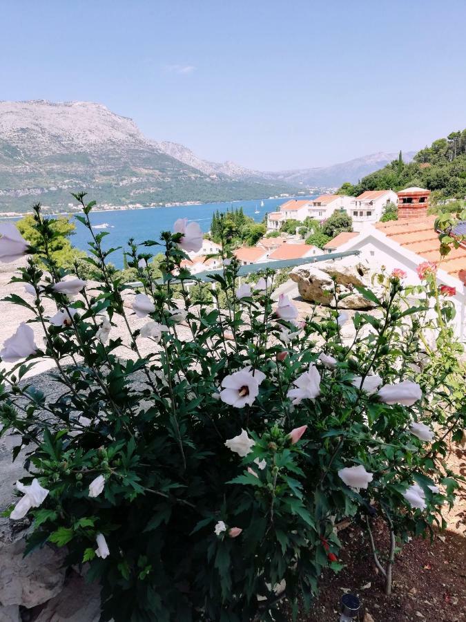 Amore Korčula Esterno foto